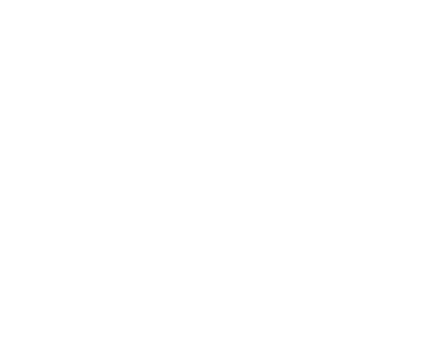 Mobilný internet