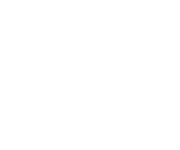 mPOS